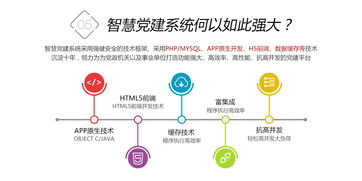 鼎维 以定制化与系统化方案，引领教育软件创新开发